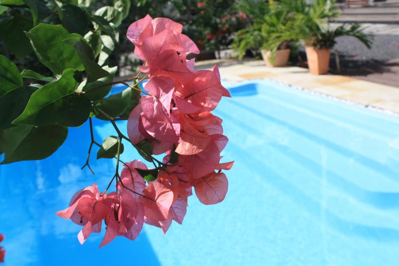 Roi Holiday Stay Grand-Baie Eksteriør bilde